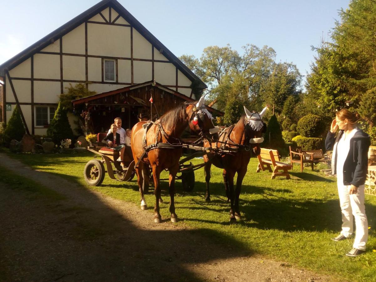 Pensjonat Kalina Komorze Esterno foto